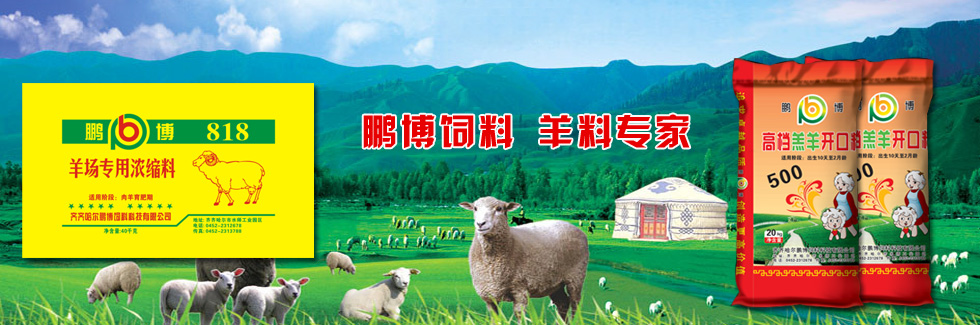 鵬博飼料，羊料專(zhuān)家